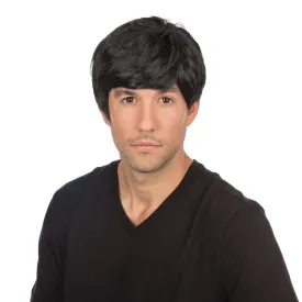 60s Male Wig Black