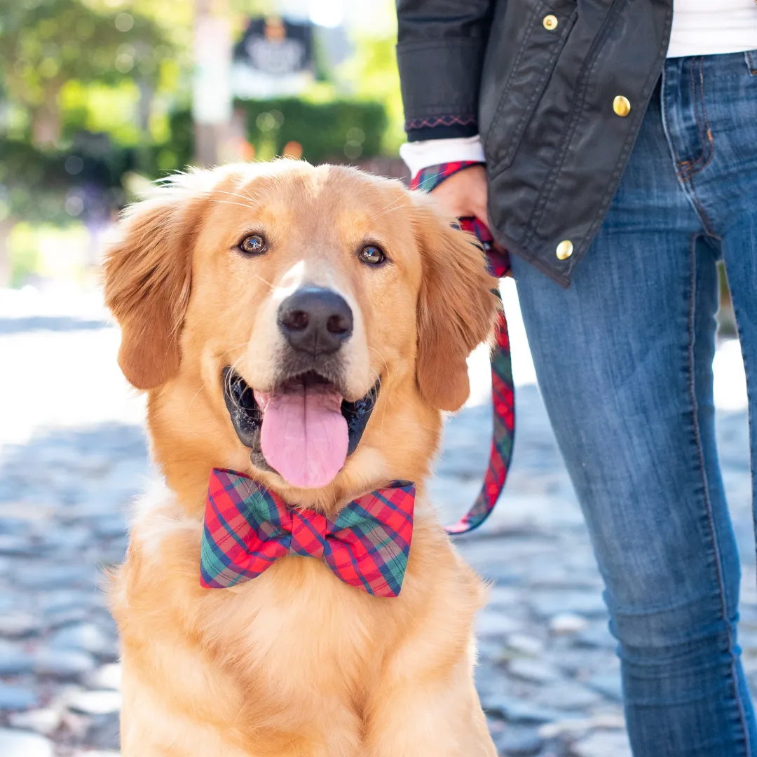 Luke's Plaid Bow Tie Dog Collar