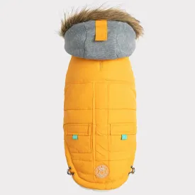 Winter Sailor Dog Parka | Yellow