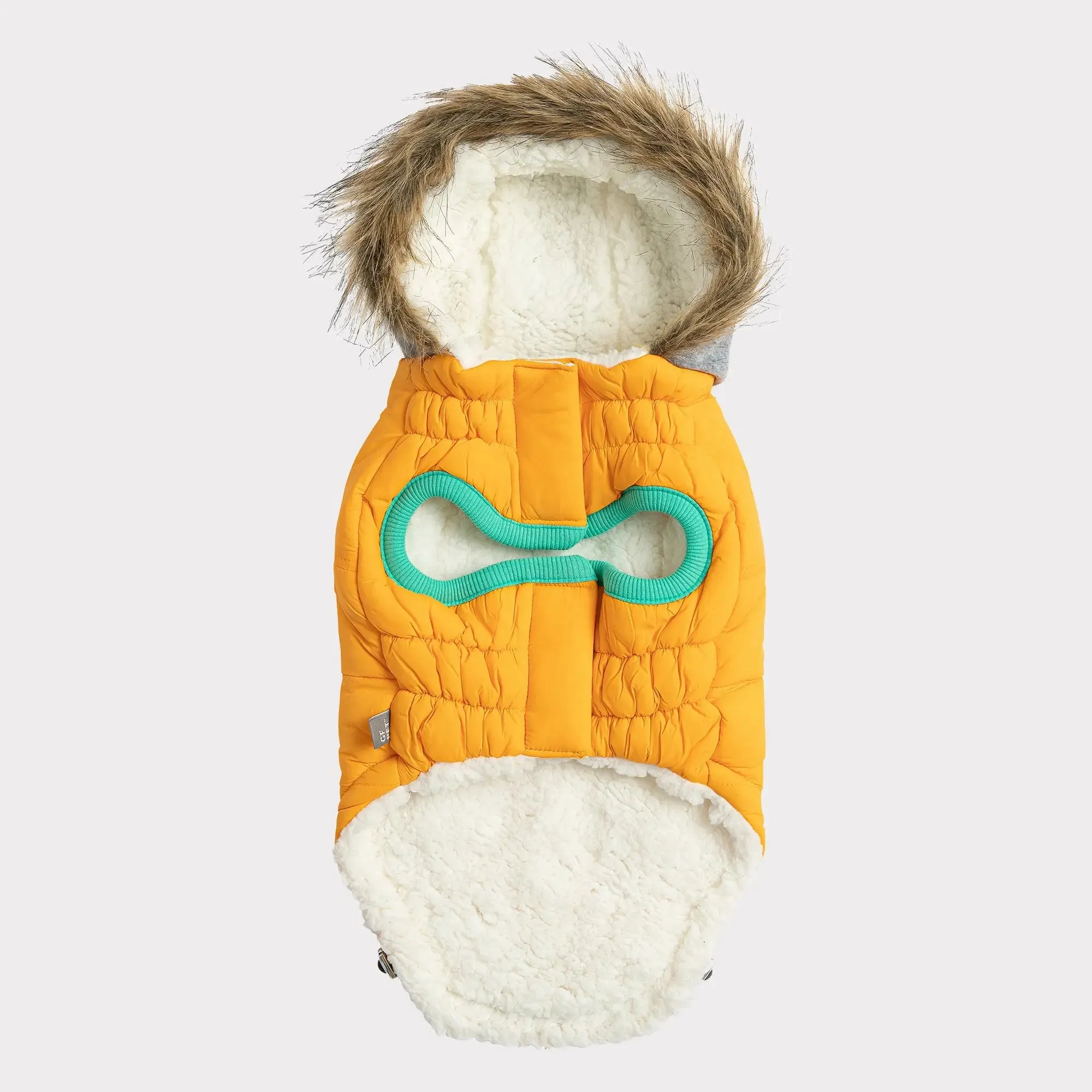 Winter Sailor Dog Parka | Yellow