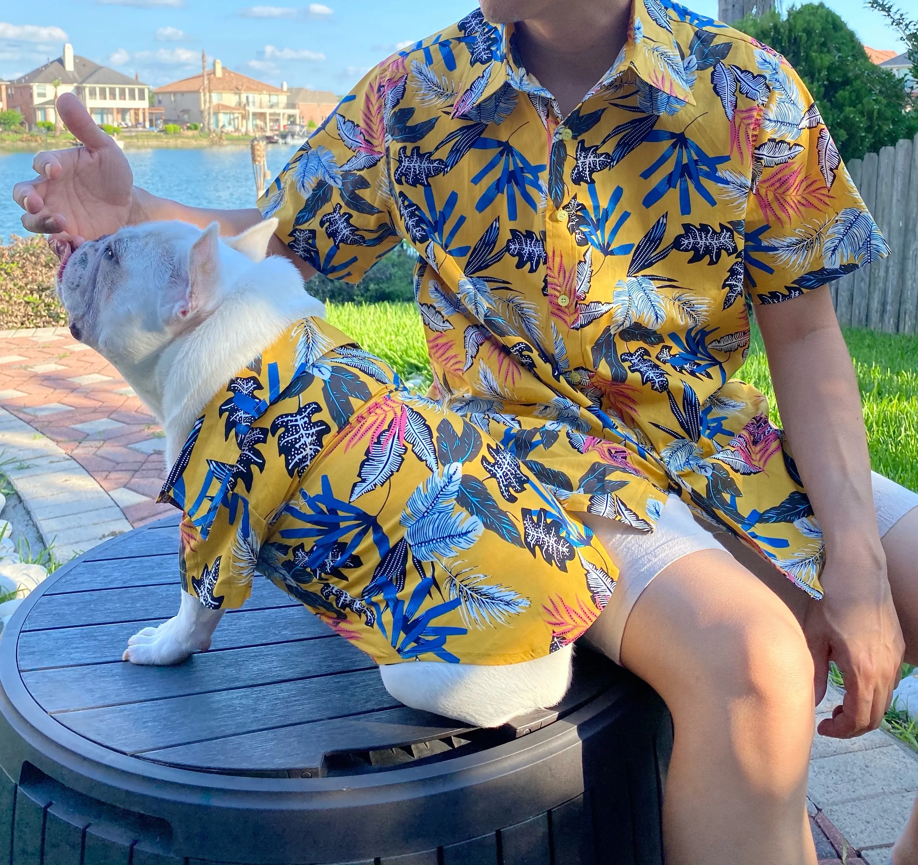 Yellow Mustard Tiki Bars Owner and Pet Matching Button Shirt / Bandana